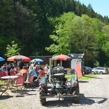 Zur Sommerfrische Lothramuehle 3*