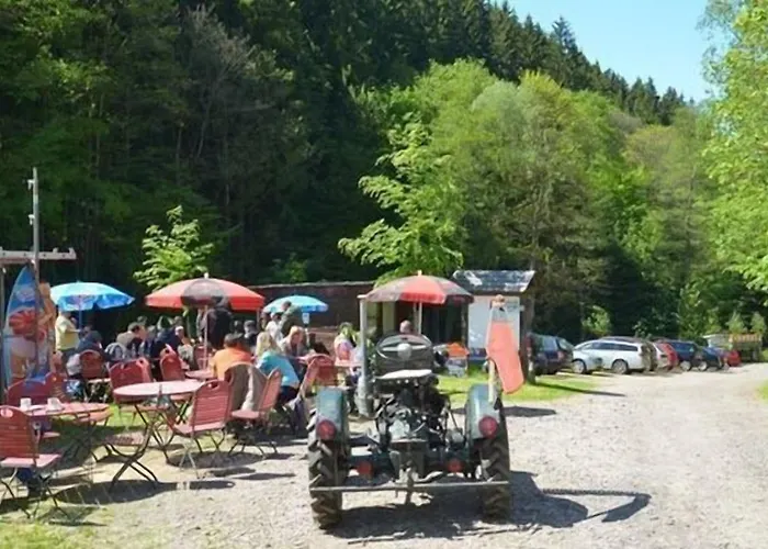 Zur Sommerfrische Lothramühle 3*