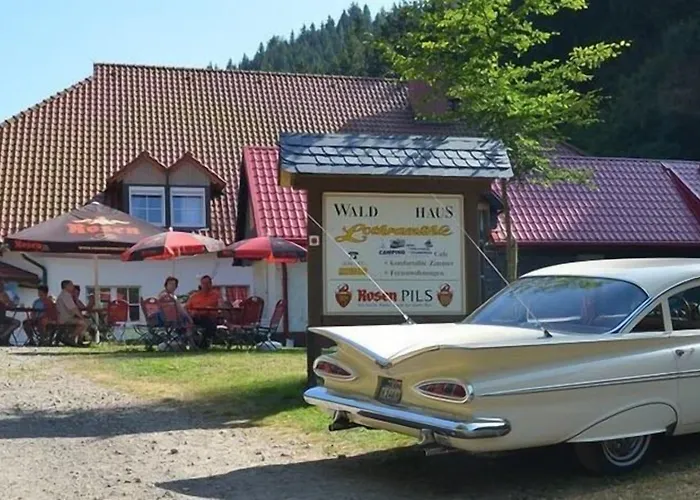 Zur Sommerfrische Lothramühle 3*